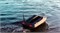 Прикормочный кораблик Carpboat Toslon Xboat 5 c GPS, эхолотом и автопилотом XR320 2761
